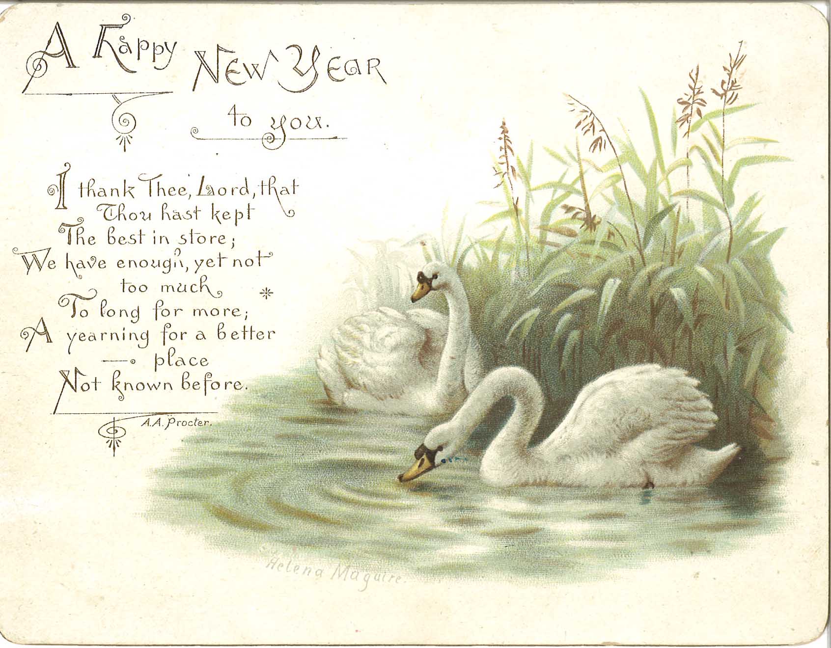 Swan Card 1993.018.033