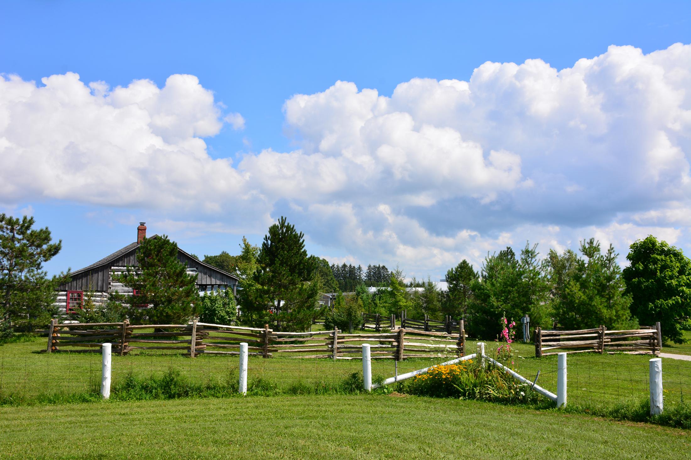 Placeholder for Laurie Caloren image