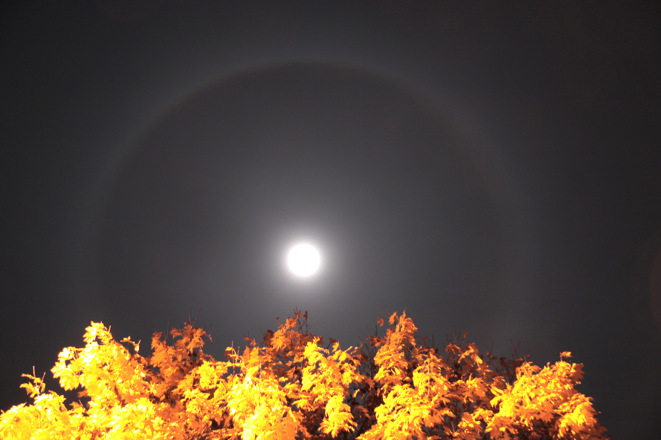 Autumn Lunar Halo