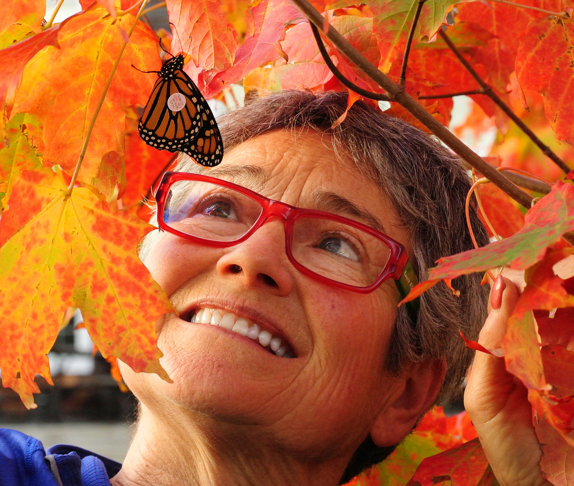 Audrey Armstrong  with a tagged fall Monarch