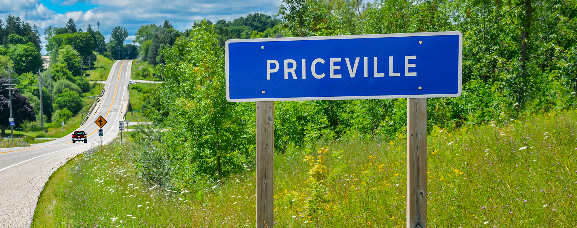 Road sign declaring Priceville standing against long grass and trees with blue sky above.
