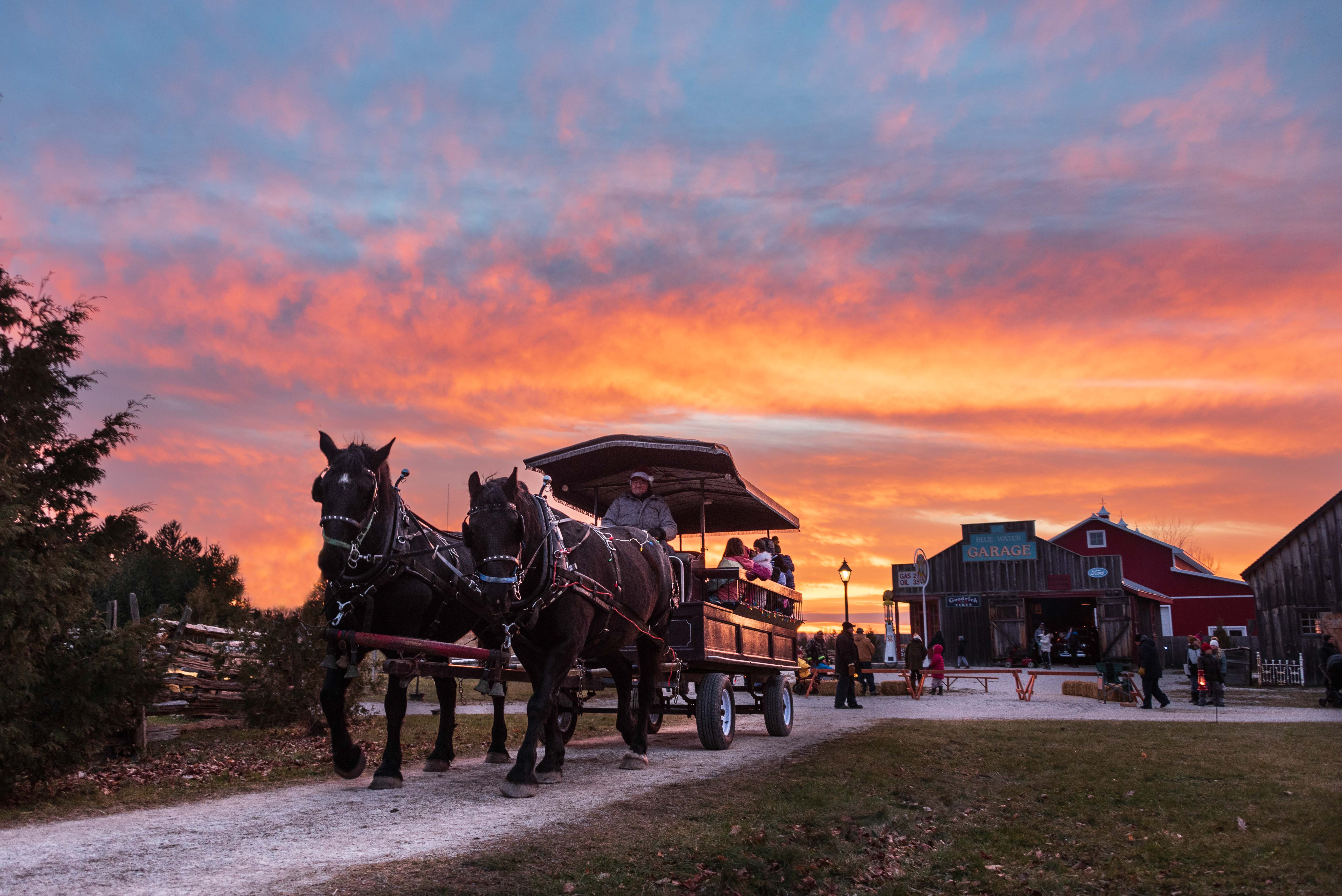 photo of covered wagon carrying passengers and pulled by two horses in a heritage village