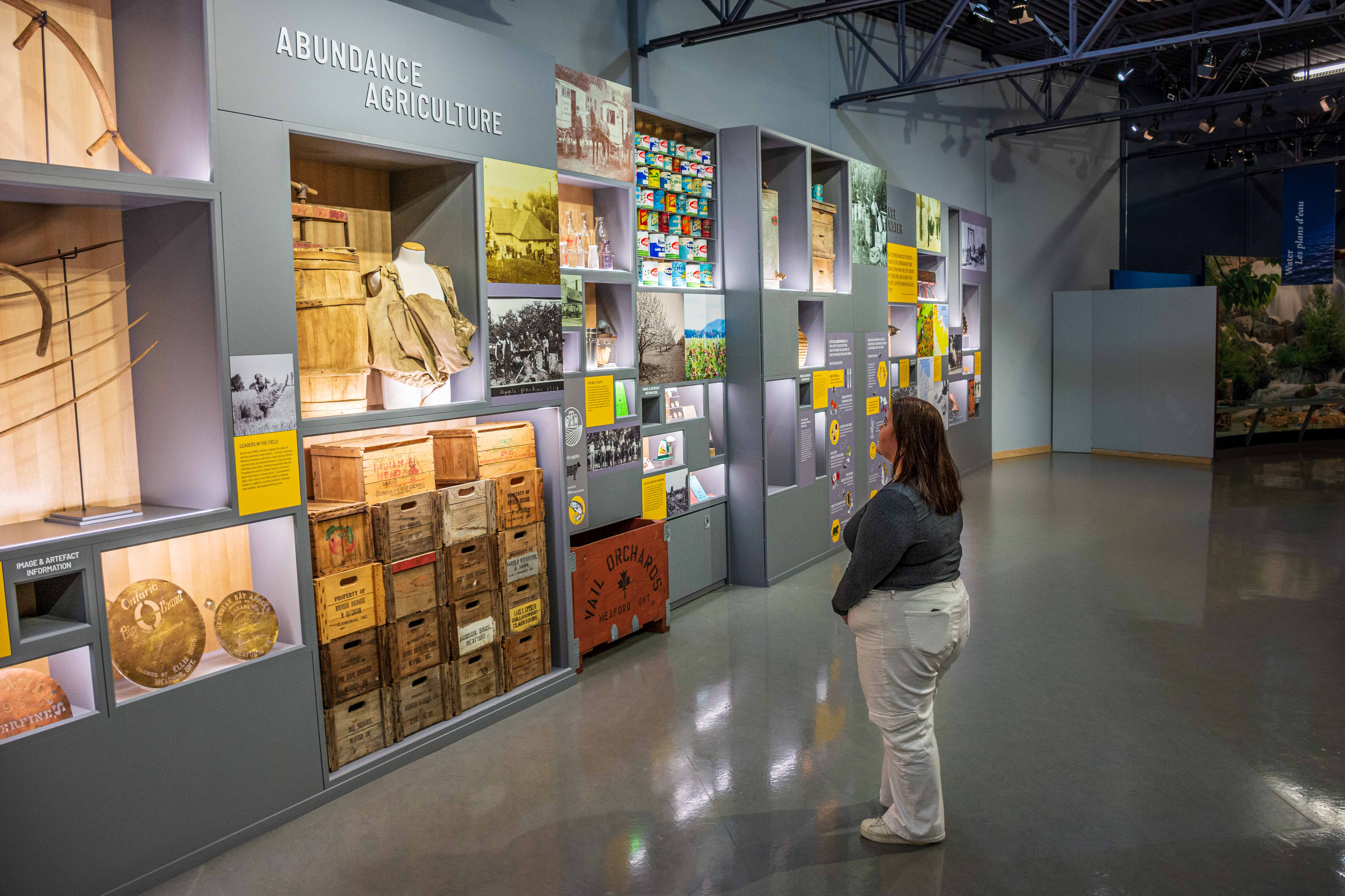 A young woman views artefacts related to apple harvest in the Abundance exhibit.