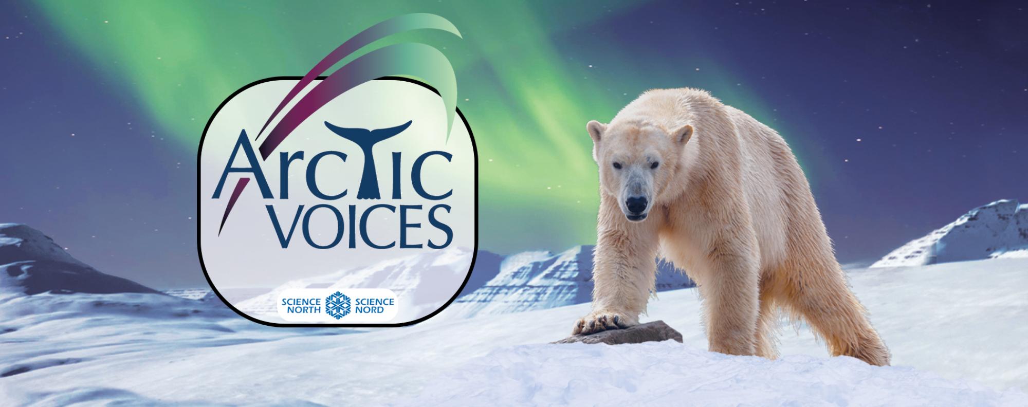Arctic Voices banner