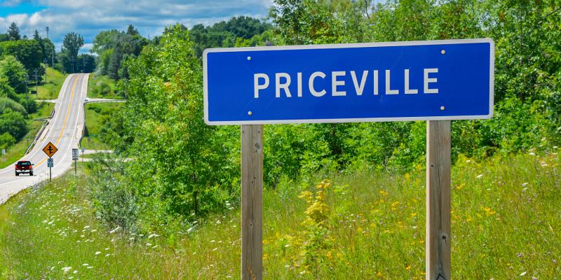 Road sign declaring Priceville standing against long grass and trees with blue sky above.